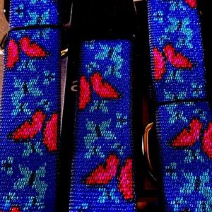 Dog collars 1 in wide by Lupine